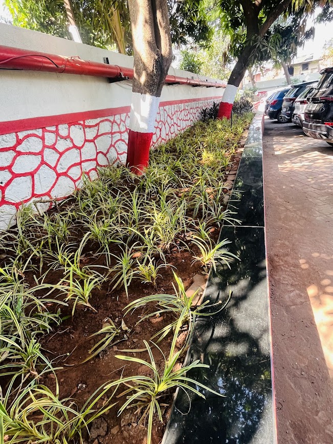 Luxury Home Landscaping