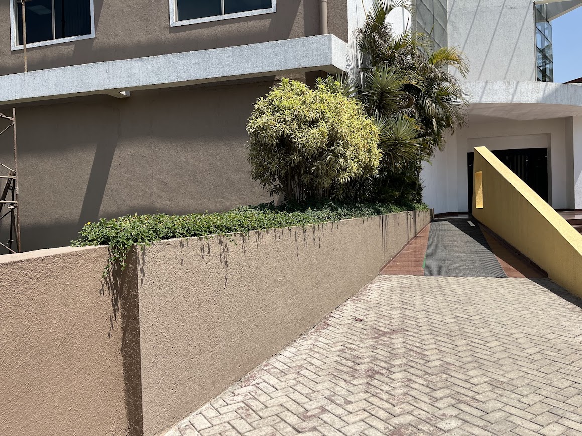 Garden Transformation